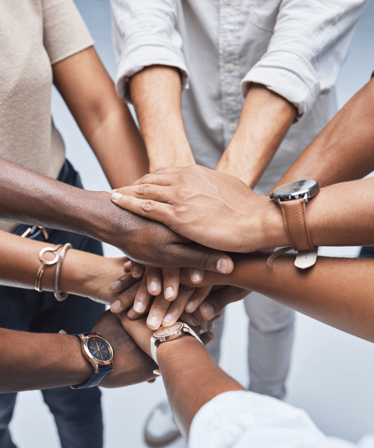Masibambane Solutions — working together